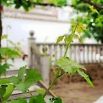 Parras 48 بيت للعطل Malpartida de Cáceres