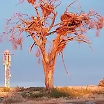 Parras 48