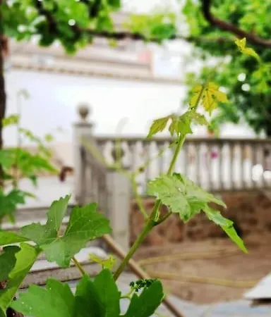 Parras 48 Сasa de vacaciones Malpartida de Cáceres