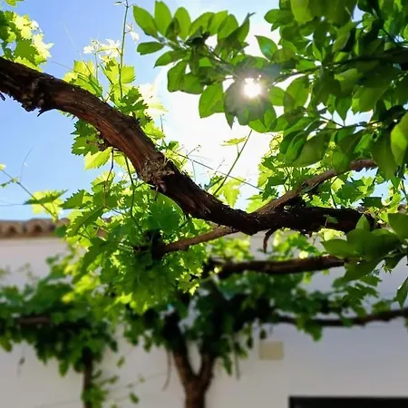 Parras 48