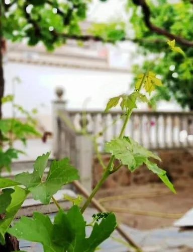 Parras 48 Holiday home Malpartida de Caceres